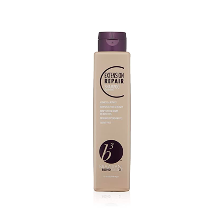 B3 Extension Repair Conditioner 